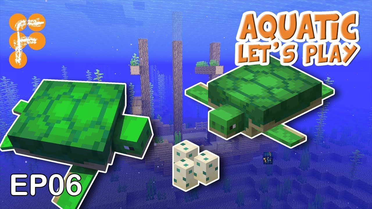 Let39s-Play-Aquatic-EP6-Turtle-Time